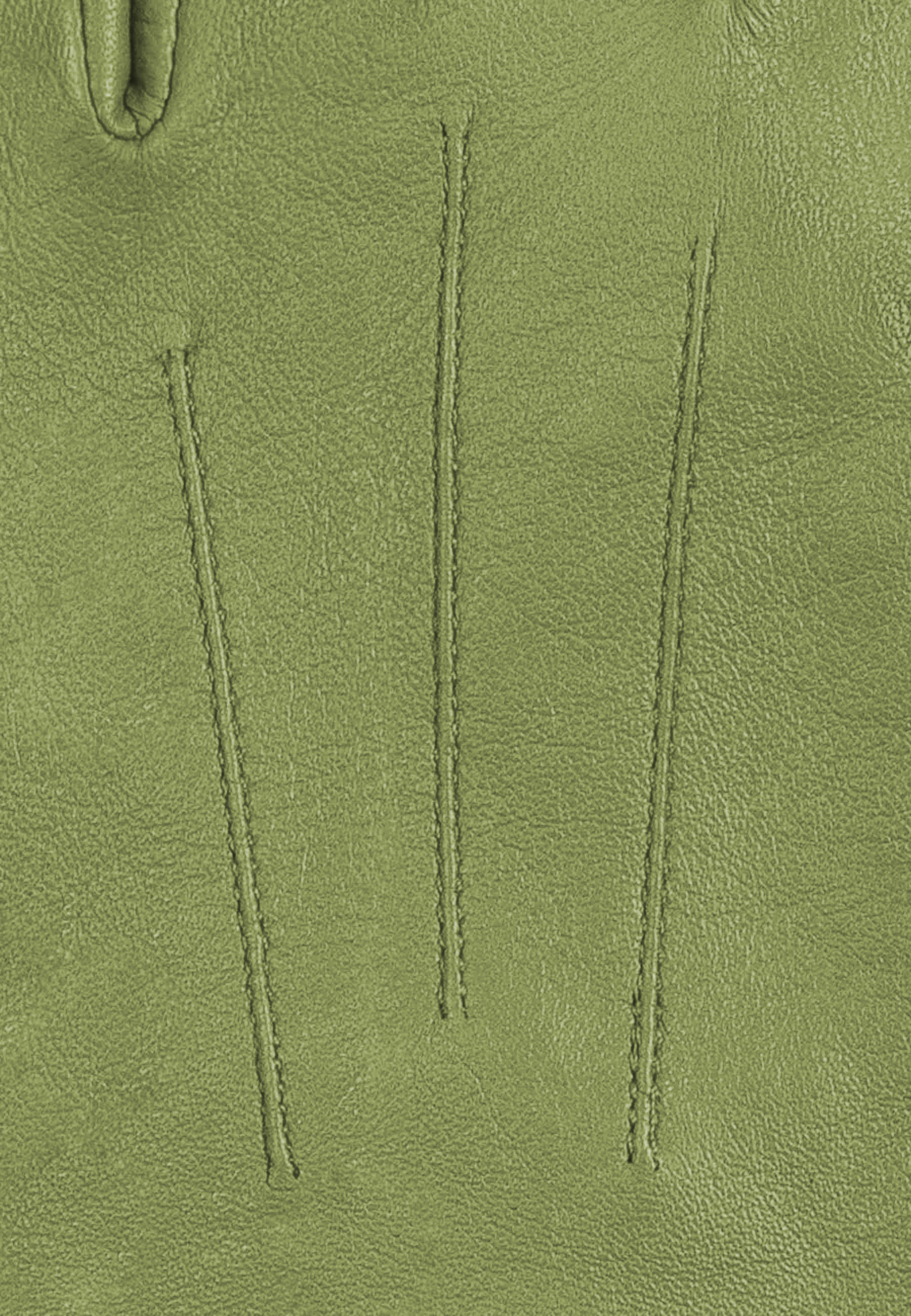 Kessler CARLA Lederhandschuh Damen matcha Leder