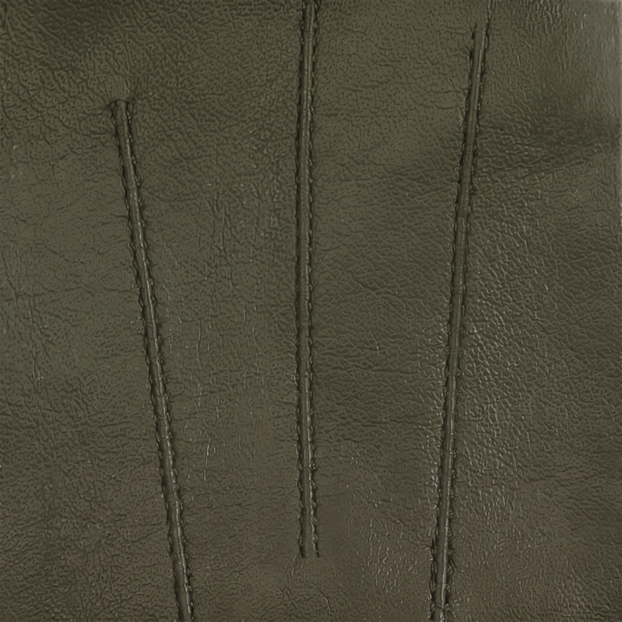 Women`s Leather Gloves style Carla