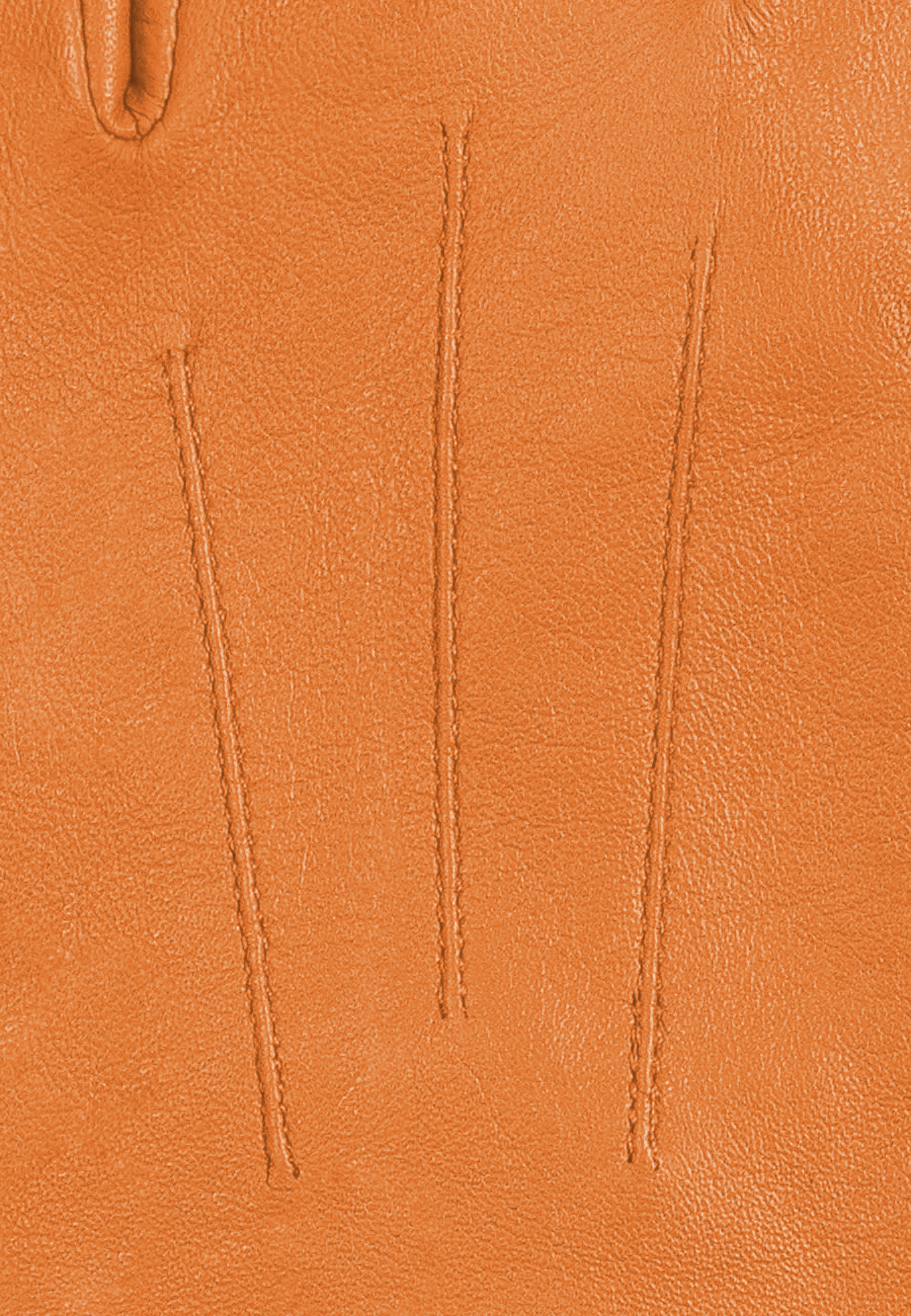 Kessler CARLA Lederhandschuh Damen apricot Leder